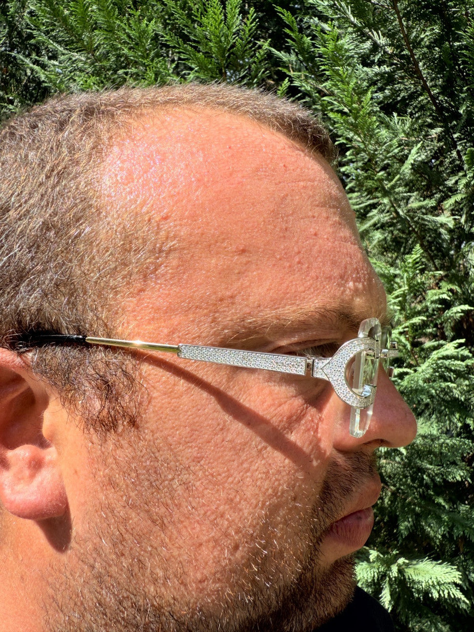 MOISSANITE Big C Iced Out Sunglasses - 925 Silver Buffs - Clear