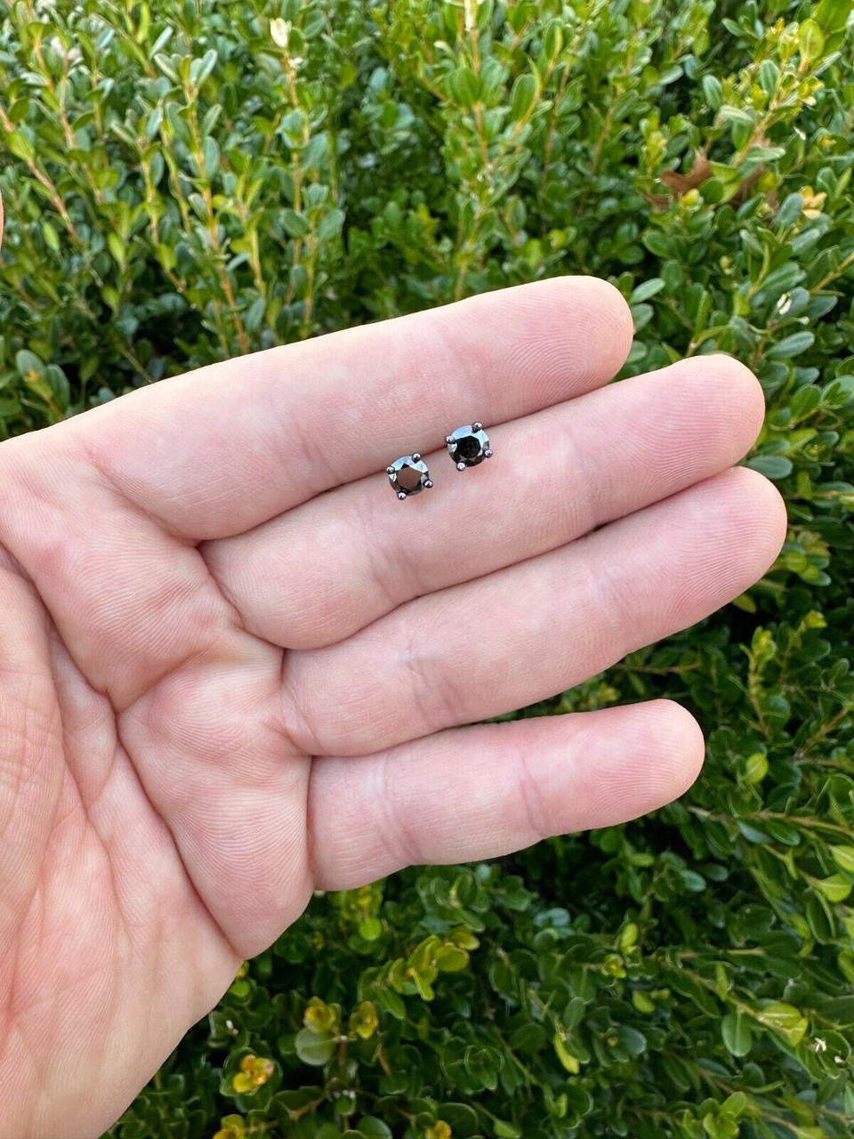 Black MOISSANITE Solitaire Stud Earrings - Black Rhodium Over 925 Silver - 3mm-8mm - 0.2-4ct