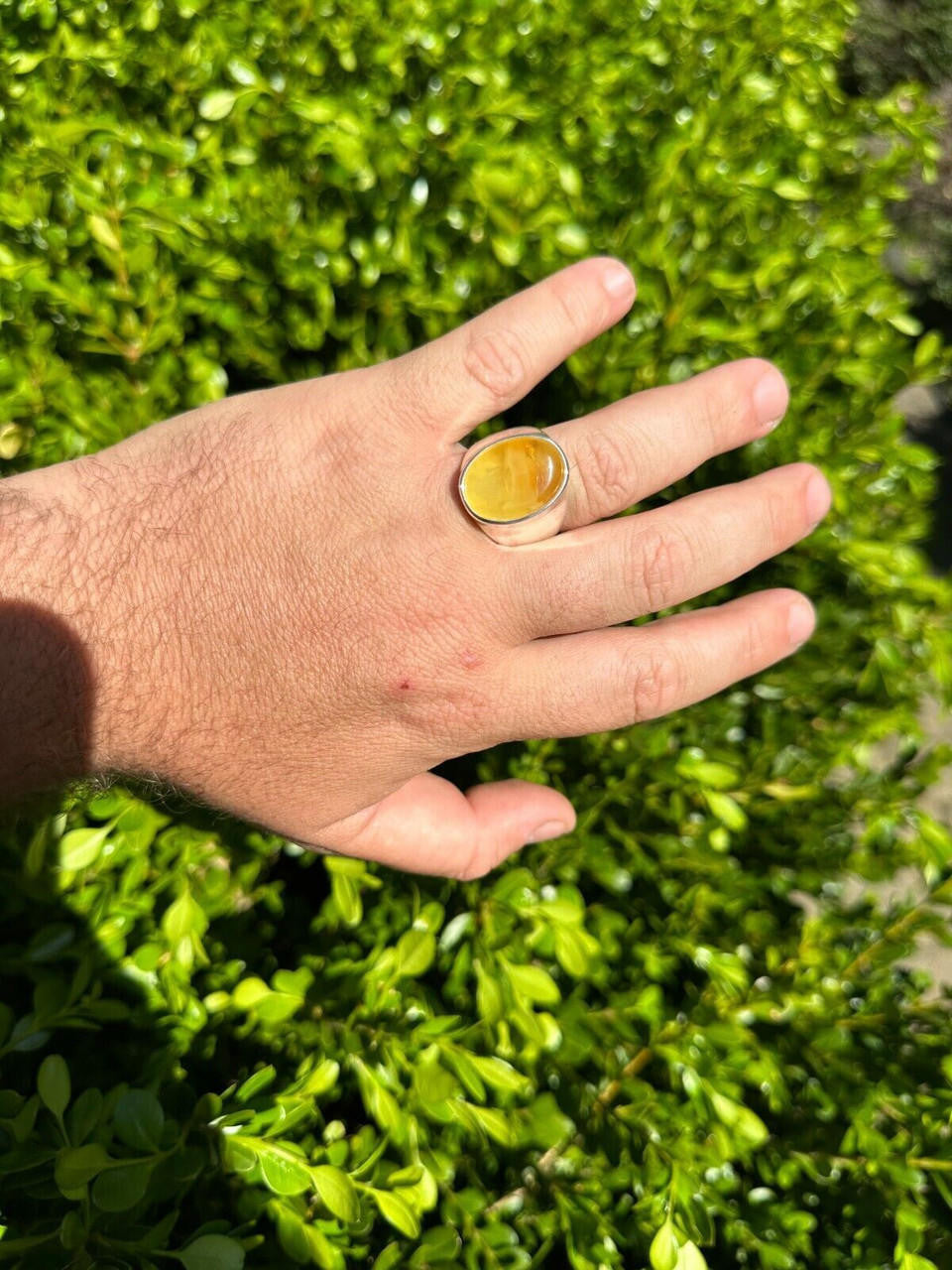 Hollywood Swag Ring - 925 Silver - Genuine Amber Stone