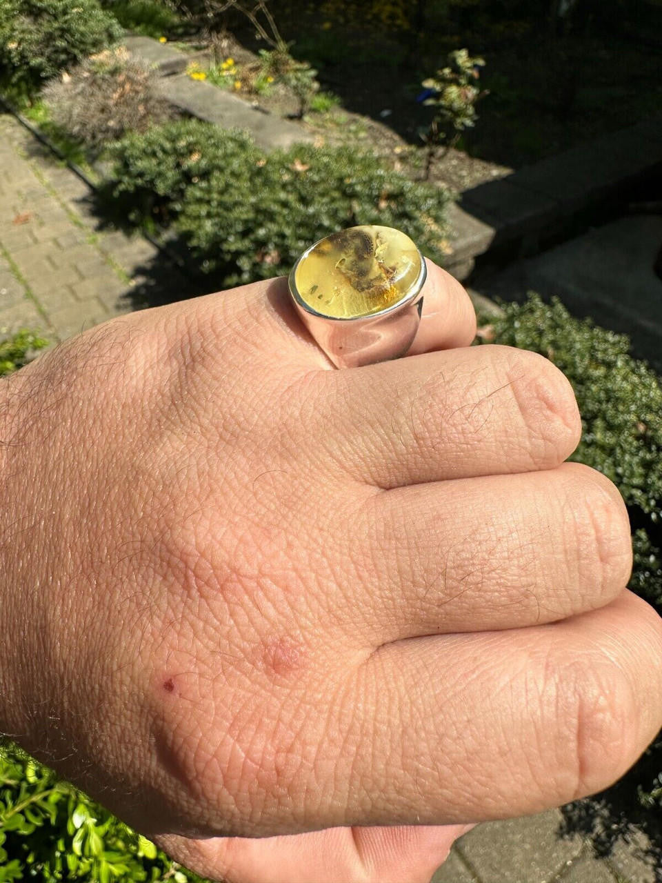 Hollywood Swag Ring - 925 Silver - Genuine Amber Stone