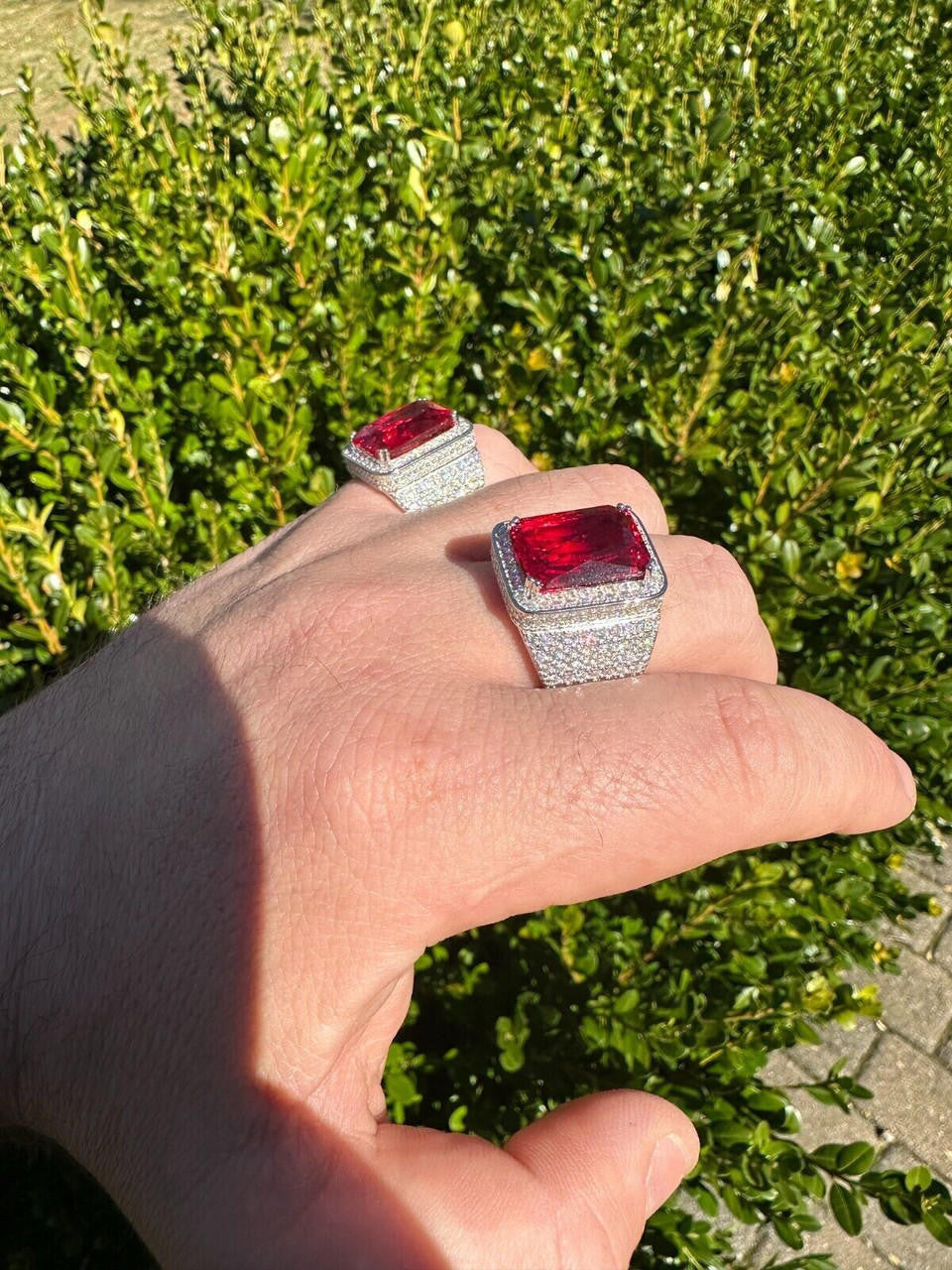 Moissanite Royal Family Ring - 925 Silver