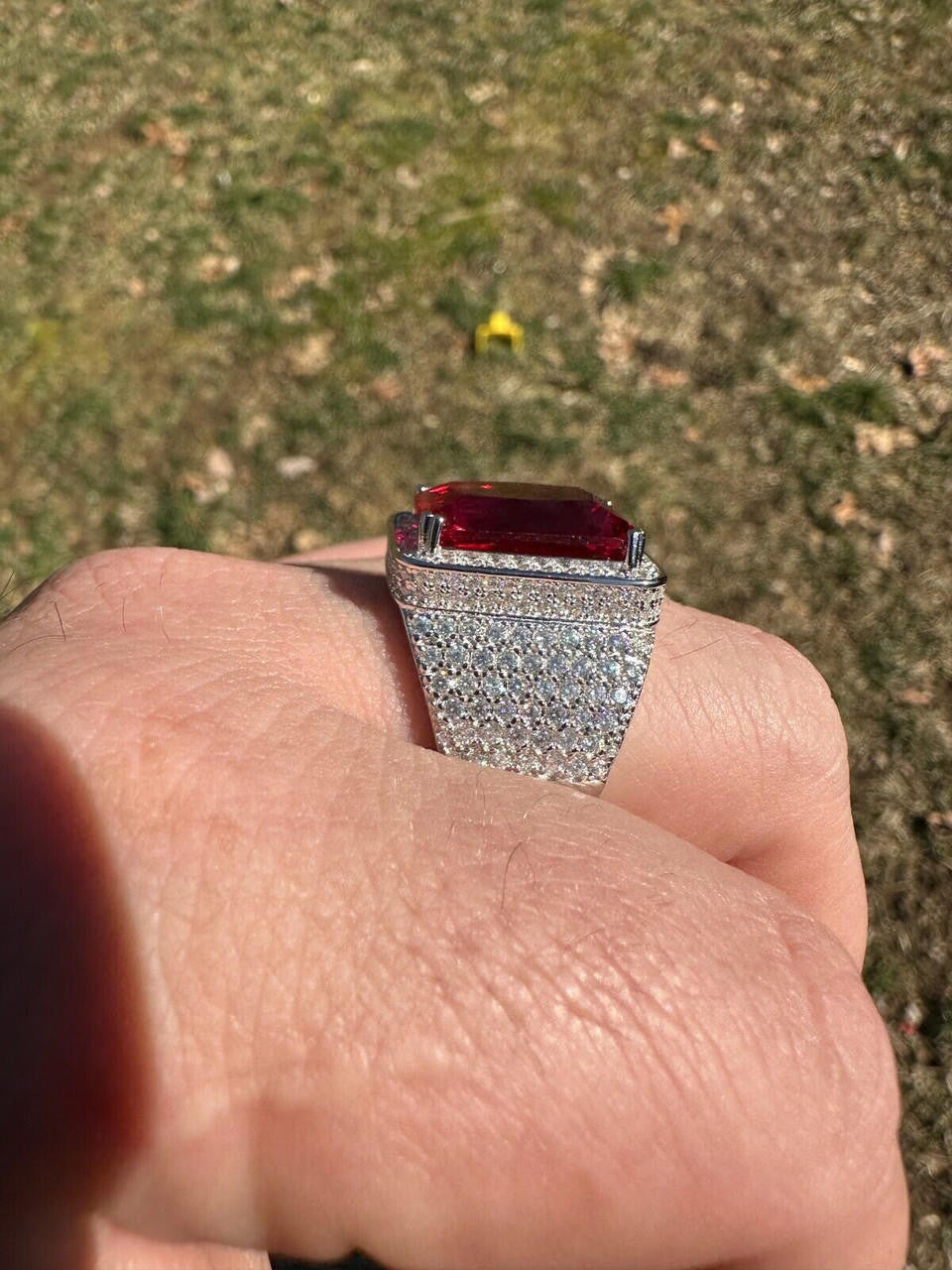 Moissanite Royal Family Ring - 925 Silver