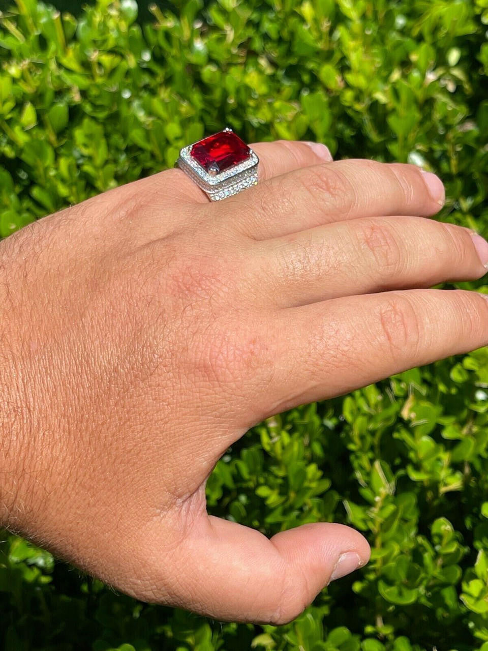 Moissanite Royal Family Ring - 925 Silver