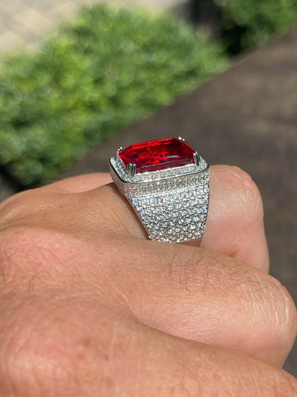 Moissanite Royal Family Ring - 925 Silver
