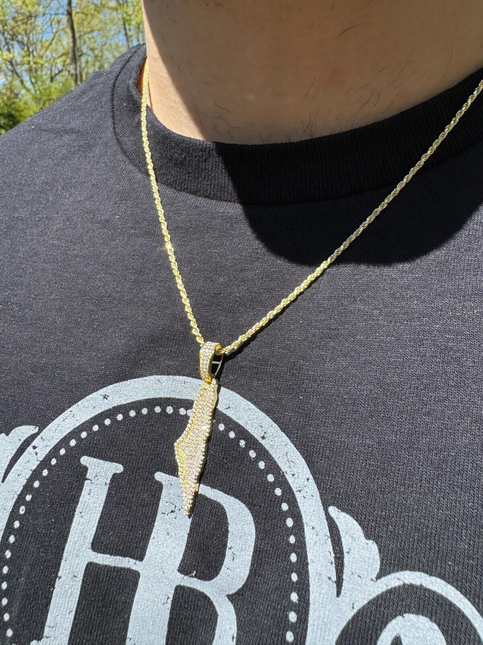 MOISSANITE Land Of Israel/Palestine Pendant - 14k Gold Vermeil Or 925 Silver - Medium 1.75"