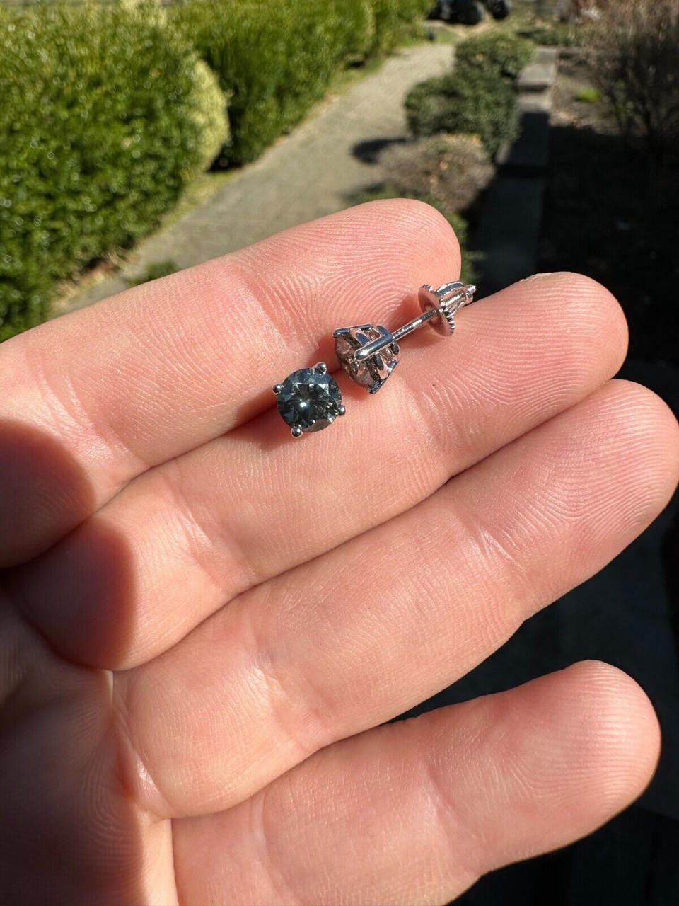 Gray MOISSANITE Solitaire Stud Earrings - 925 Silver - 3mm-8mm - 0.2-4ct