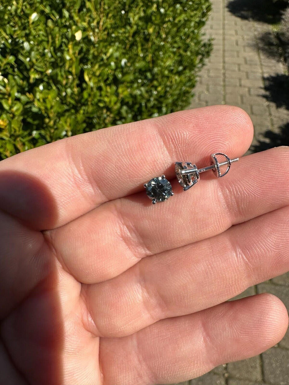 Gray MOISSANITE Solitaire Stud Earrings - 925 Silver - 3mm-8mm - 0.2-4ct