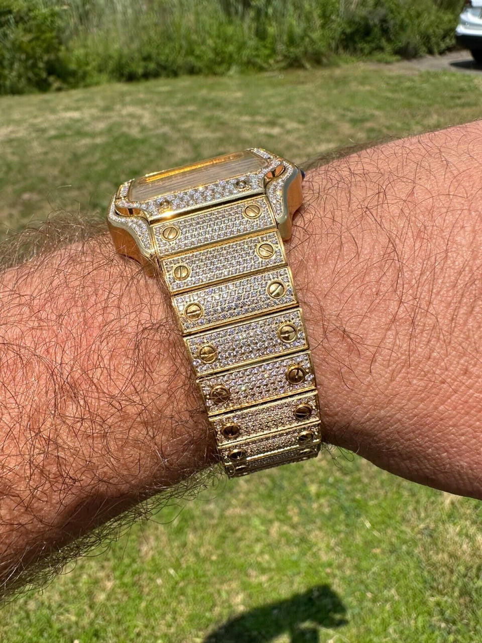 Real Hip Hop Watch Fully Iced Mens Automatic Movement Gold Stainless Arabic