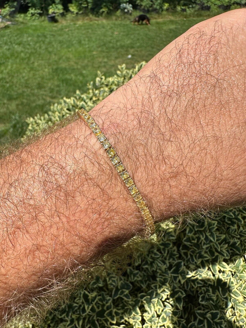 3mm Canary Yellow CZ Tennis Bracelet Real 925 Sterling Silver 14k Gold Plated