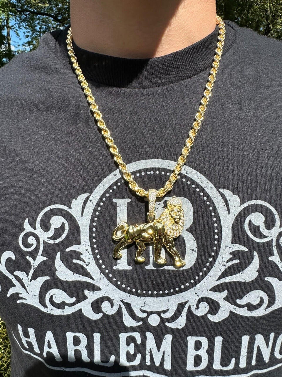 MOISSANITE Lion Of Judah W. Crown Rasta Pendant - 14k Gold Vermeil or 925 Silver - Medium 2.25"